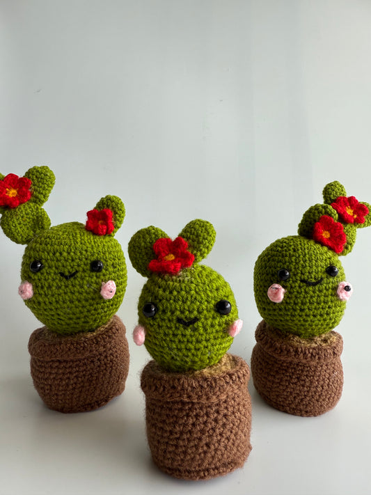 Cactus