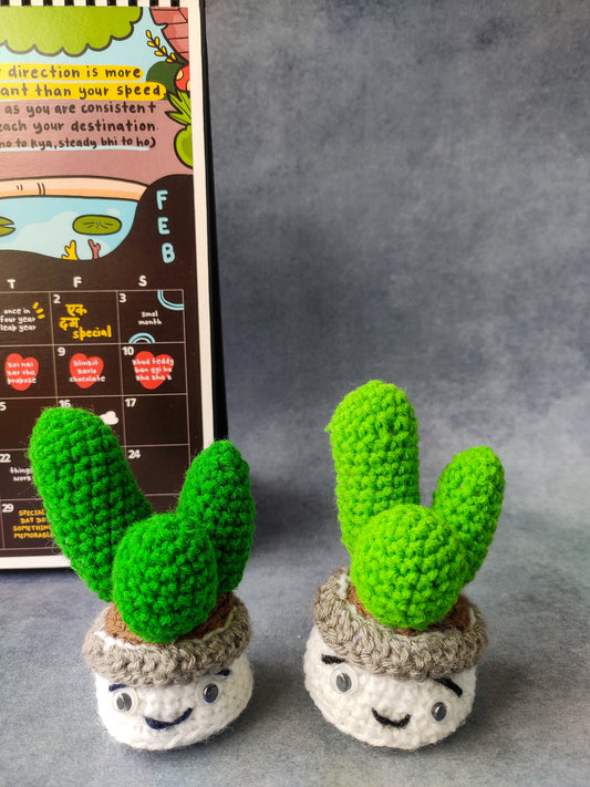 Cactus